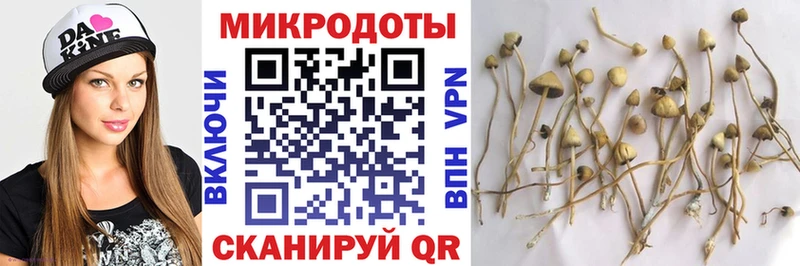 цены наркотик  Усть-Илимск  ссылка на мегу tor  Галлюциногенные грибы мухоморы 
